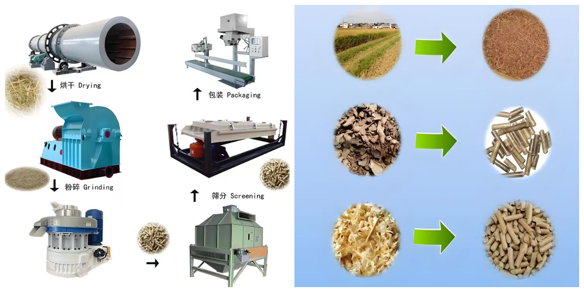 560 Vertical Ring Die Pellet Mill 560 Vertical Ring Die Pellet Mill