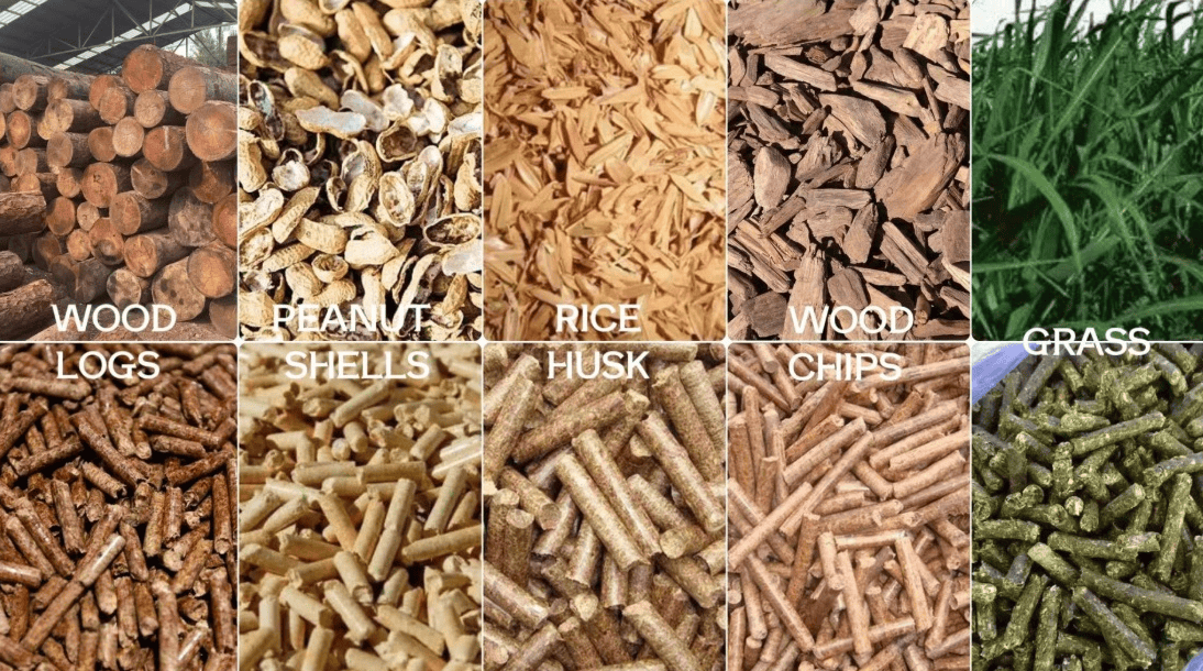 Mercado de máquinas para la producción de pellets de biomasa Mercado de máquinas para la producción de pellets de biomasa