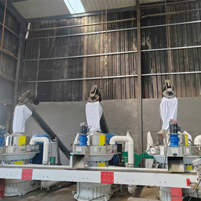 Entrega exitosa de la línea de producción de pellets de biomasa de 6-8 toneladas/hora para un cliente de Hubei, estableciendo un proyecto modelo regional de energía de biomasa.