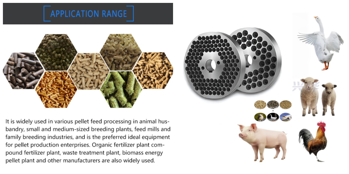 Máquina de pellets de alimentación con matriz plana Máquina de pellets de alimentación con matriz plana