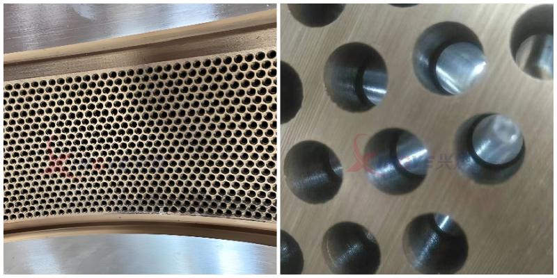 Biomass pellet mill ring die