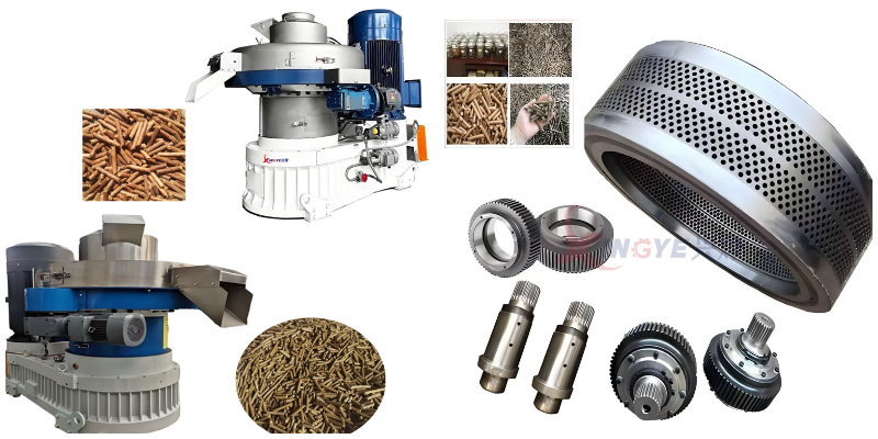 Biomass pellet mill ring die