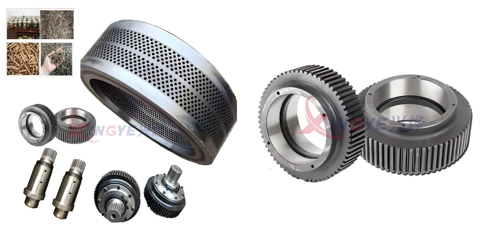 Con lăn ép máy ép viên nén Con lăn ép máy ép viên nén