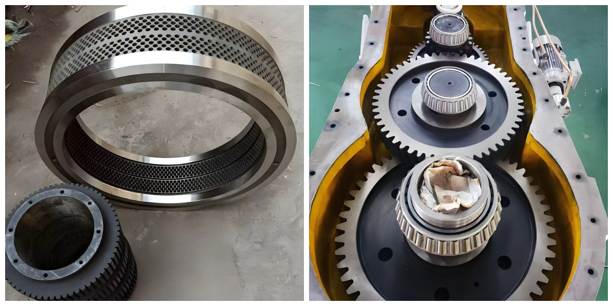 Thiết bị nghiền viên