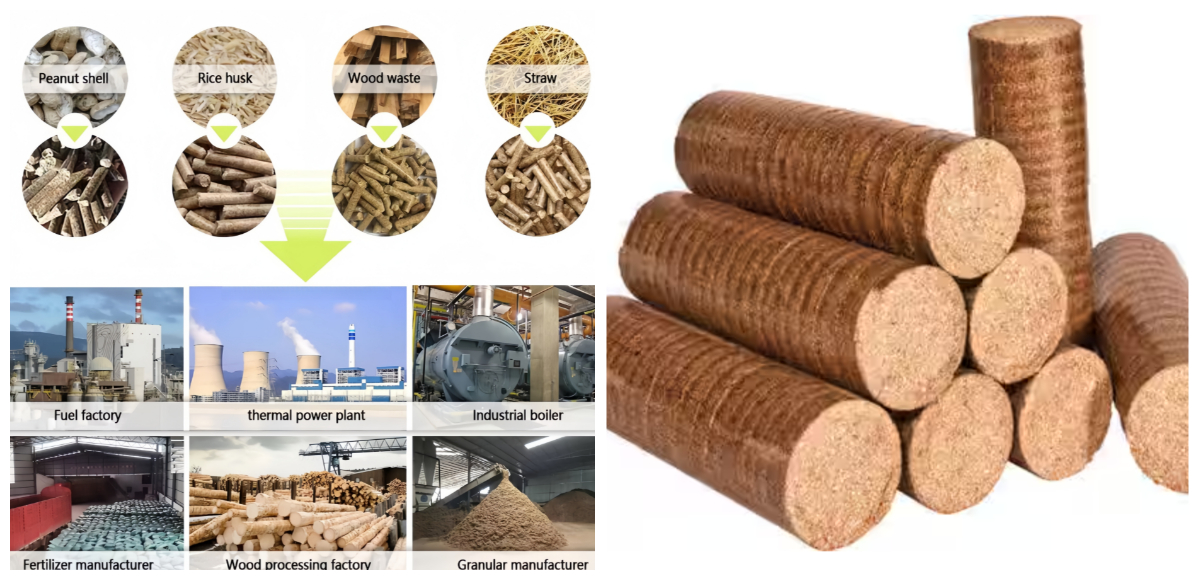 Cetakan pelet ring die biomassa Cetakan pelet ring die biomassa