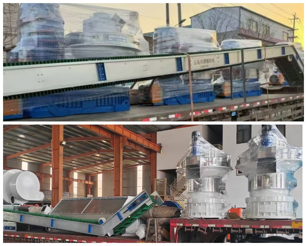 Vertical Ring Die Biomass Pellet Mill Vertical Ring Die Biomass Pellet Mill