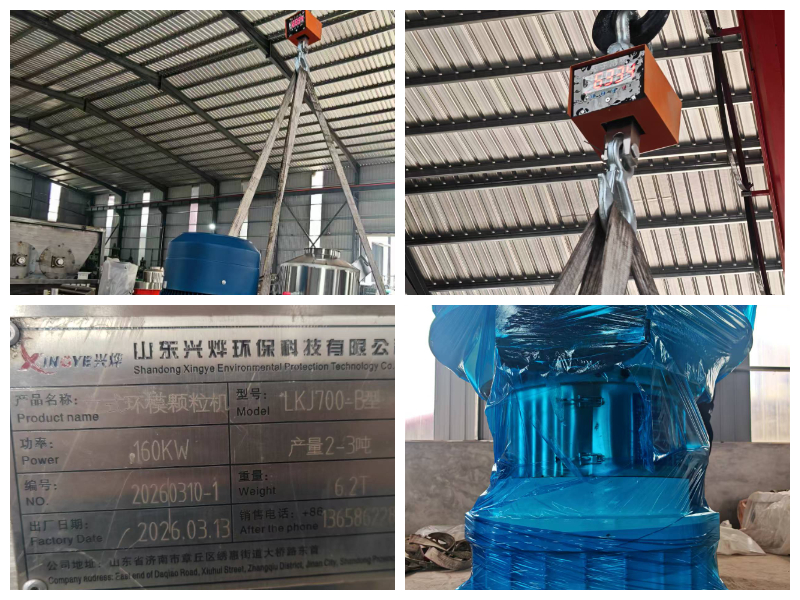 Máy tạo hạt sinh khối loại 700