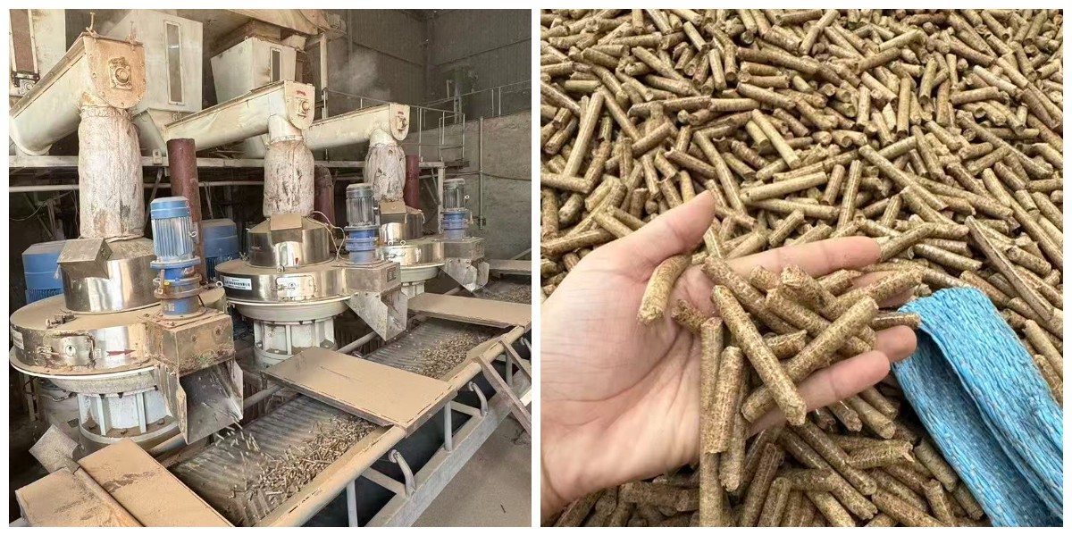 Máquina de pellets de biomassa