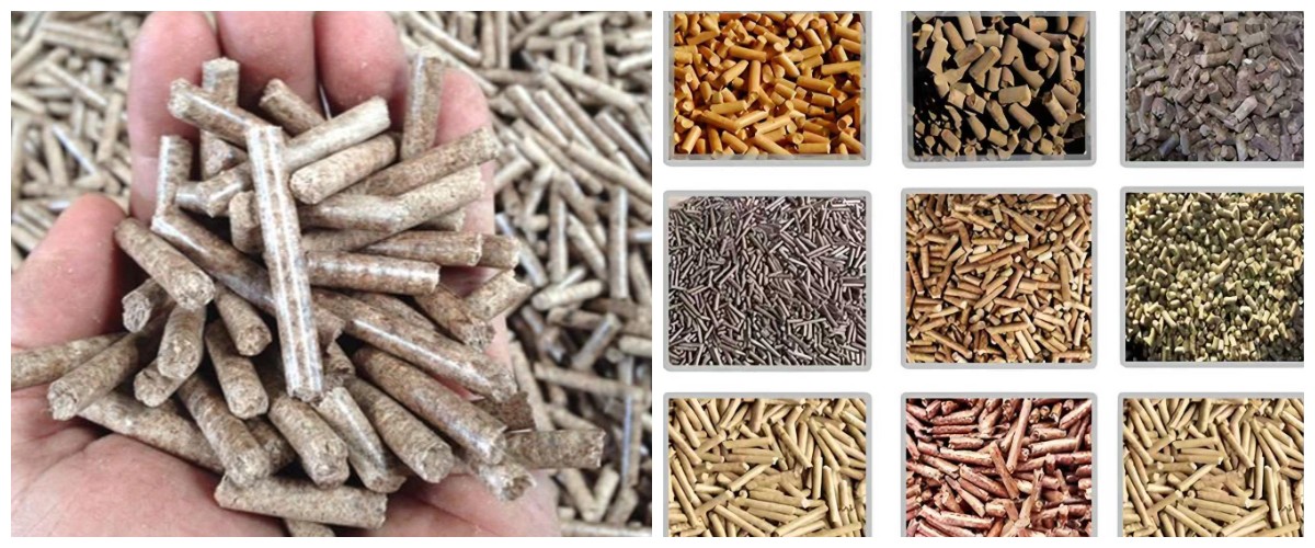 Thiết bị nghiền viên