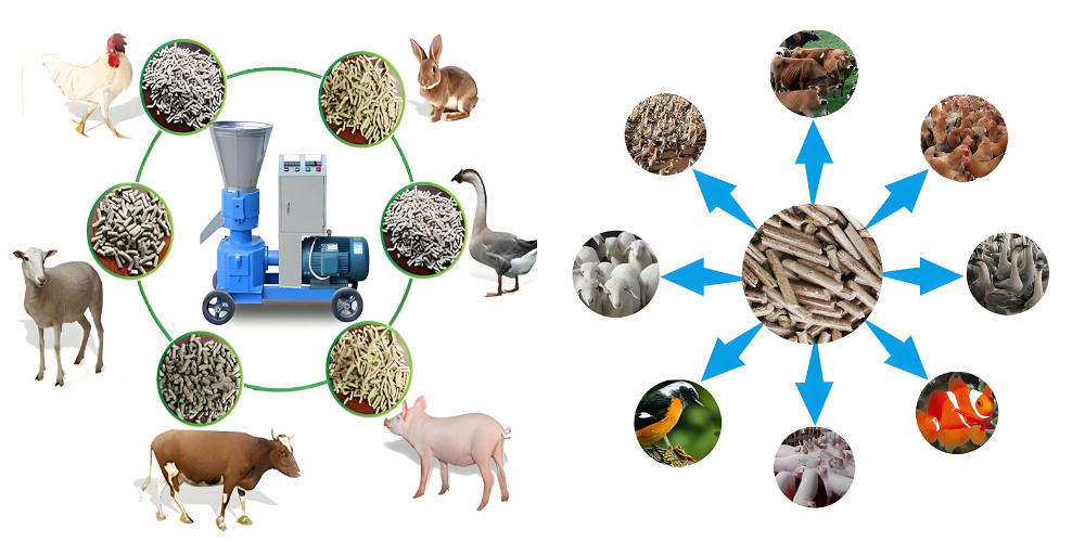 Animal Pellet Mill Animal Pellet Mill