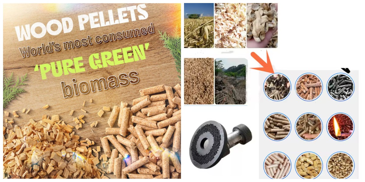 Máquina de Pellets de Madera de Matriz Plana