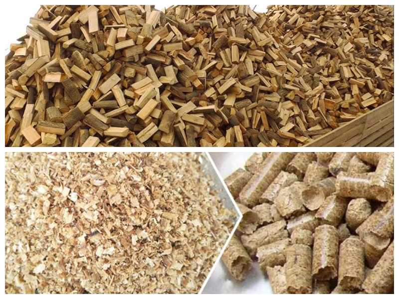 Hammer Mill Crusher Machine Hammer Mill Crusher Machine