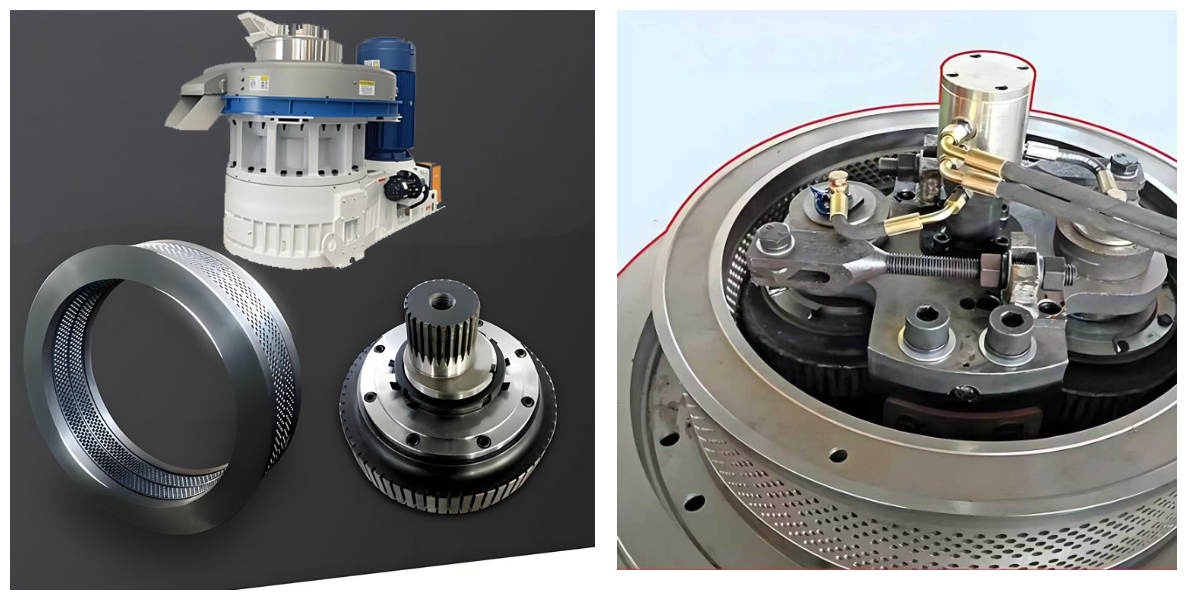 560 Vertical Ring Die Pellet Mill 560 Vertical Ring Die Pellet Mill