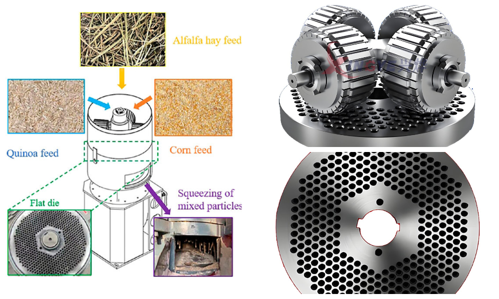 Mesin Pelet Pakan Cetakan Datar Mesin Pelet Pakan Cetakan Datar