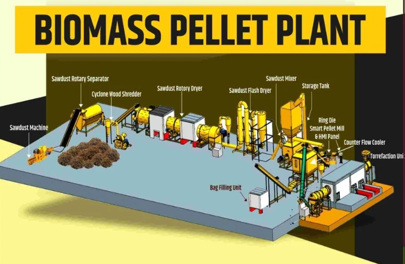 Mercado de máquinas para la producción de pellets de biomasa Mercado de máquinas para la producción de pellets de biomasa