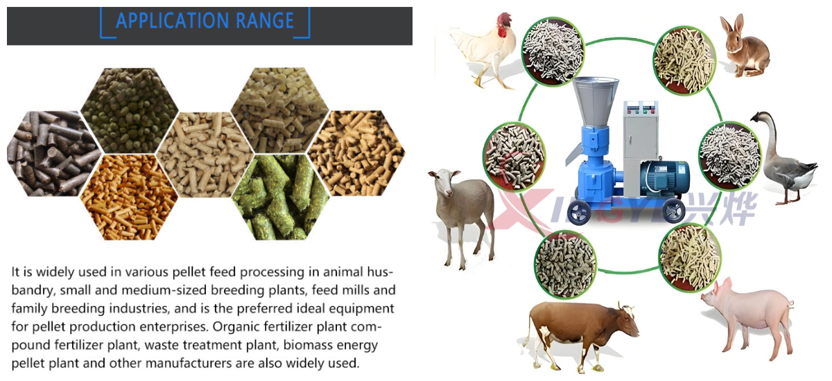 Máquina pequeña para hacer pellets de alimento