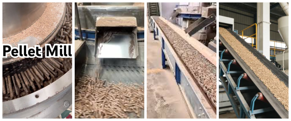 Biomass Pellet Machine