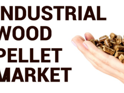 Pasar Mesin Pembuat Pellet Biomassa