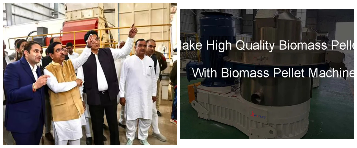 Máquina de pellets de biomassa