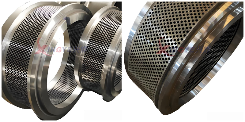 Biomass pellet mill ring die
