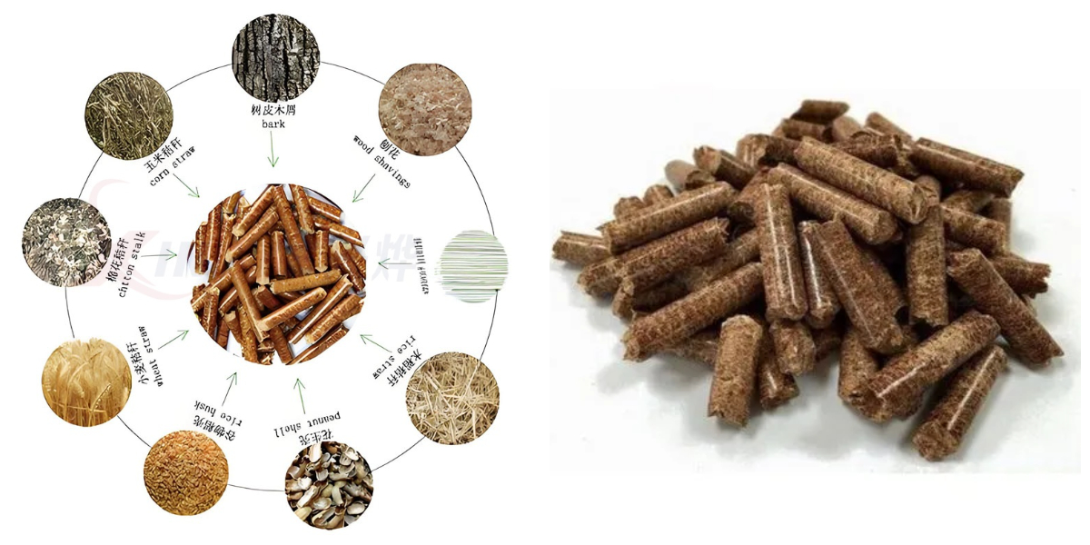 Máquina de pellets de matriz plana china