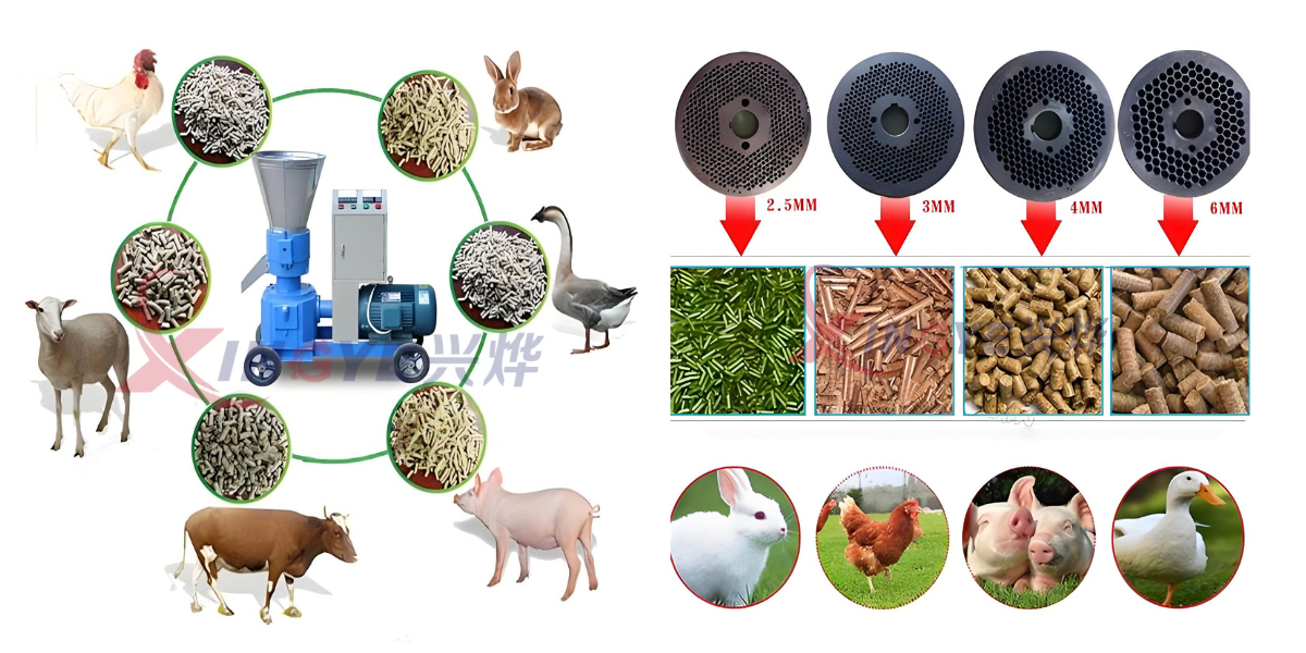 Flat Die Feed Pellet Machine