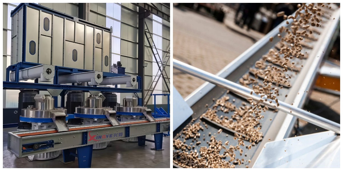 Biomass Pellet Mill Model 700 Biomass Pellet Mill Model 700