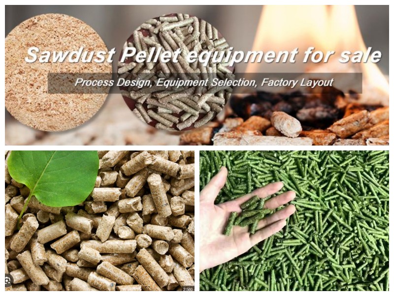 Máquina de pellets de biomassa