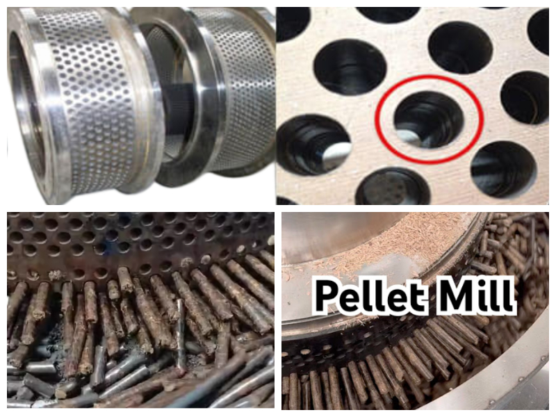 Biomass Pellet Mill Model 700 Biomass Pellet Mill Model 700