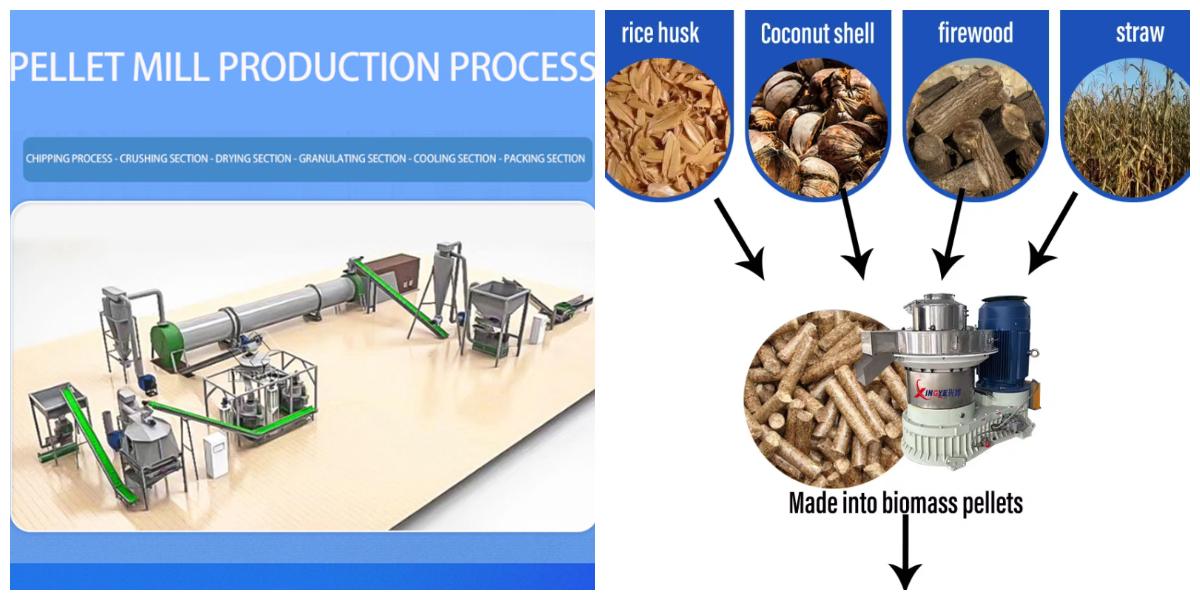 Línea de producción de pellets de combustible de biomasa