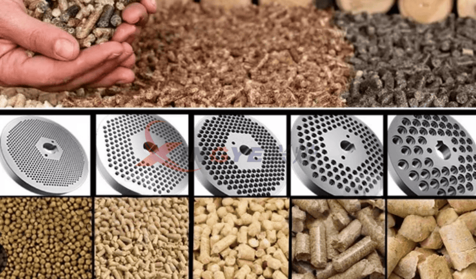 Molino de pellets de madera 450 Molino de pellets de madera 450