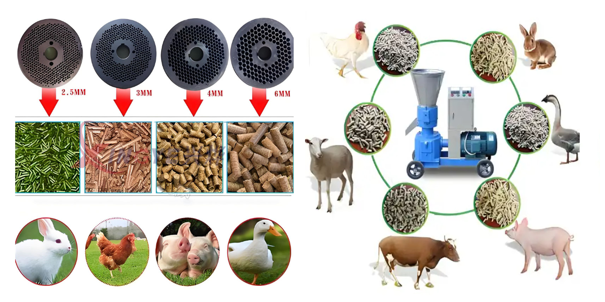 Mesin pelet pakan mati datar