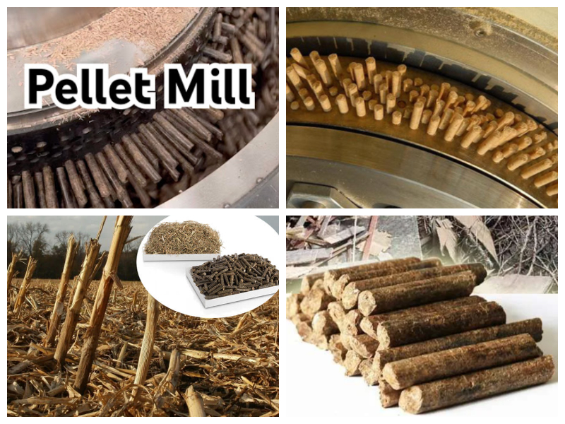 Phụ kiện máy ép viên