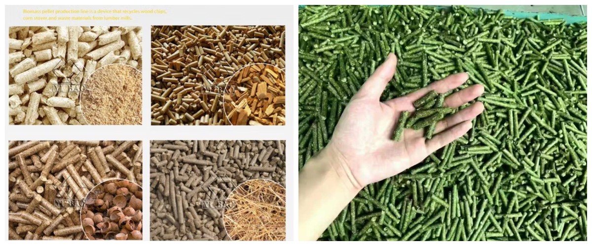 Pabrik pelet biomassa Pabrik pelet biomassa