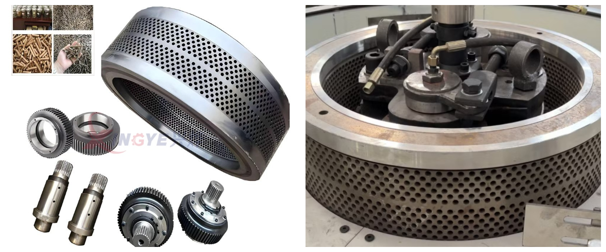 Molino de pellets de biomasa con matriz de anillo 560