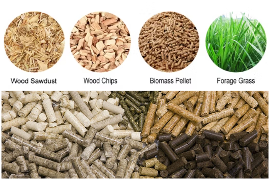 Vertical Ring Die 850 Pellet Machine Vertical Ring Die 850 Pellet Machine