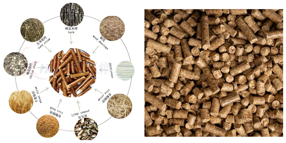 Vertical Ring Die Biomass Pellet Mill Vertical Ring Die Biomass Pellet Mill