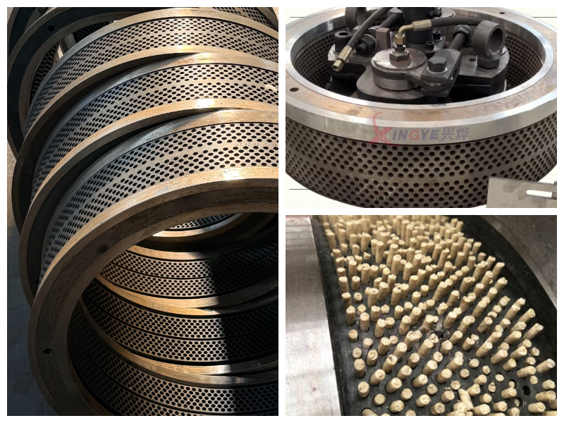 Cetakan pelet ring die biomassa Cetakan pelet ring die biomassa