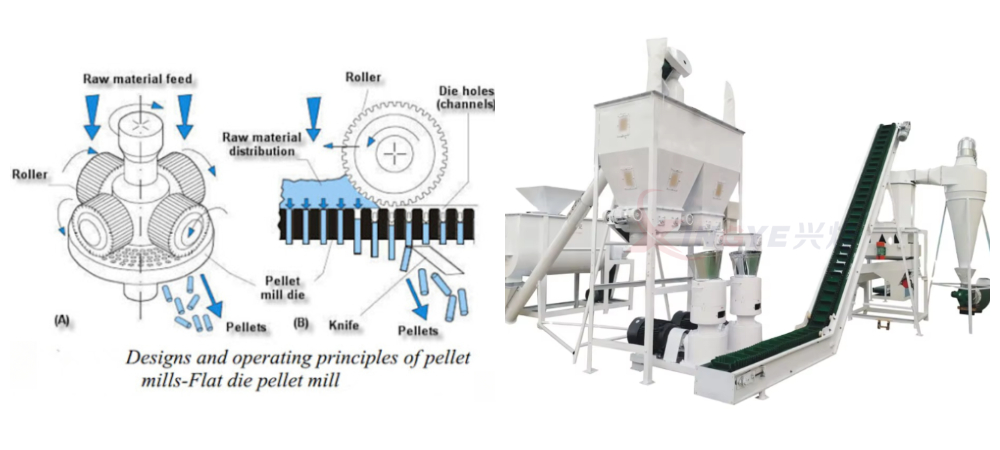 Гранулятор с плоским матрицем Гранулятор с плоским матрицем